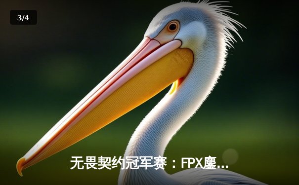 无畏契约冠军赛：FPX鏖战五局力克GEN登顶，中国战队首夺全球总冠军 - 3